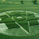 Illustration for article titled The Most Astonishing Crop Circle Artworks of 2014